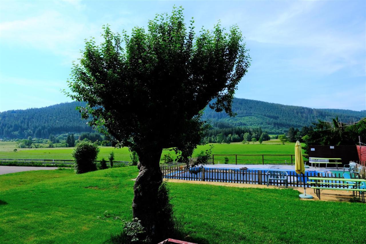 B Und B Titisee Hotel Sonnenmatte Nahe Badeparadies מראה חיצוני תמונה